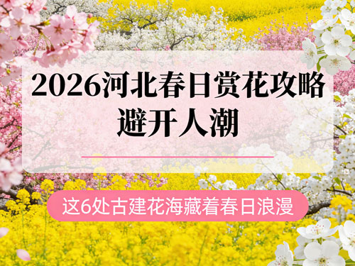 2026河北春日赏花攻略|避开人潮,这5处古建花海藏着春日浪漫