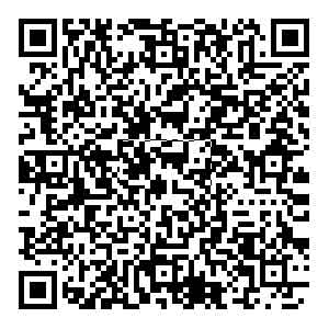 武汉比亚迪车友群