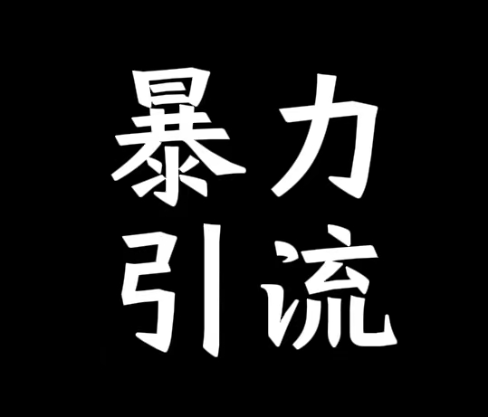 暴力引流十天满一个号